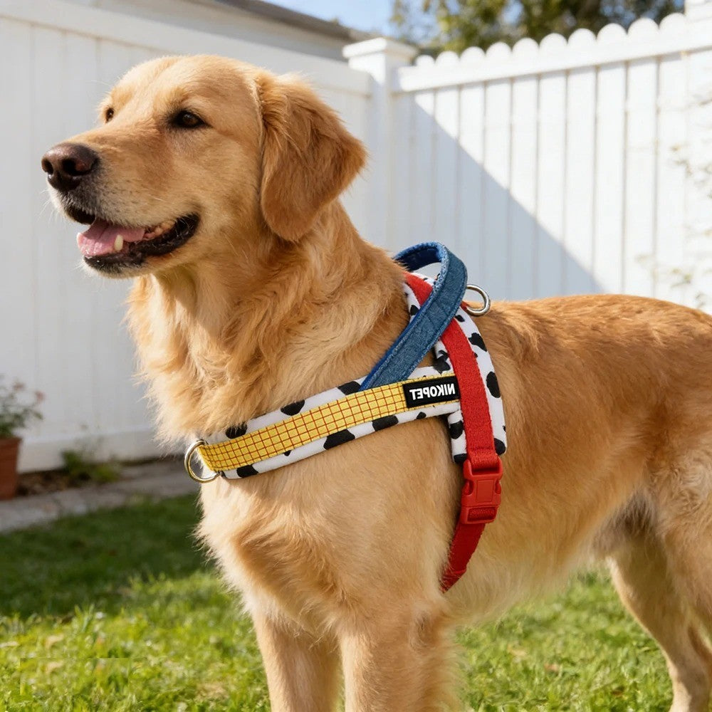 No-Pull Dog Harness, Front Clip, Reflective and Padded